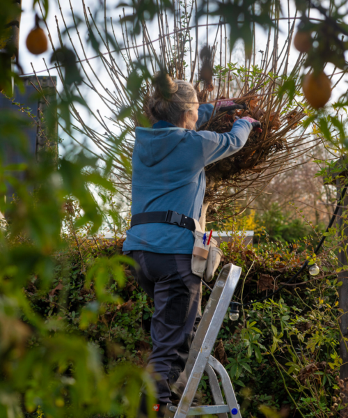 levende tuin in Tilburg