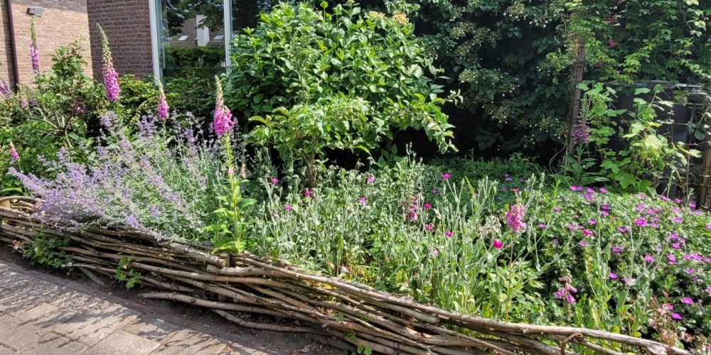voortuin in bloei